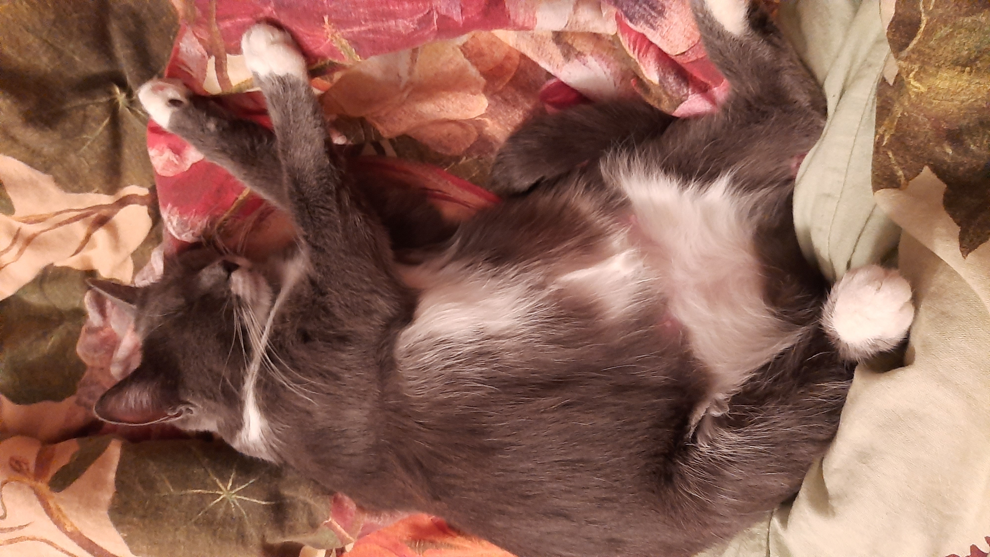 Я сплю так, а Вы