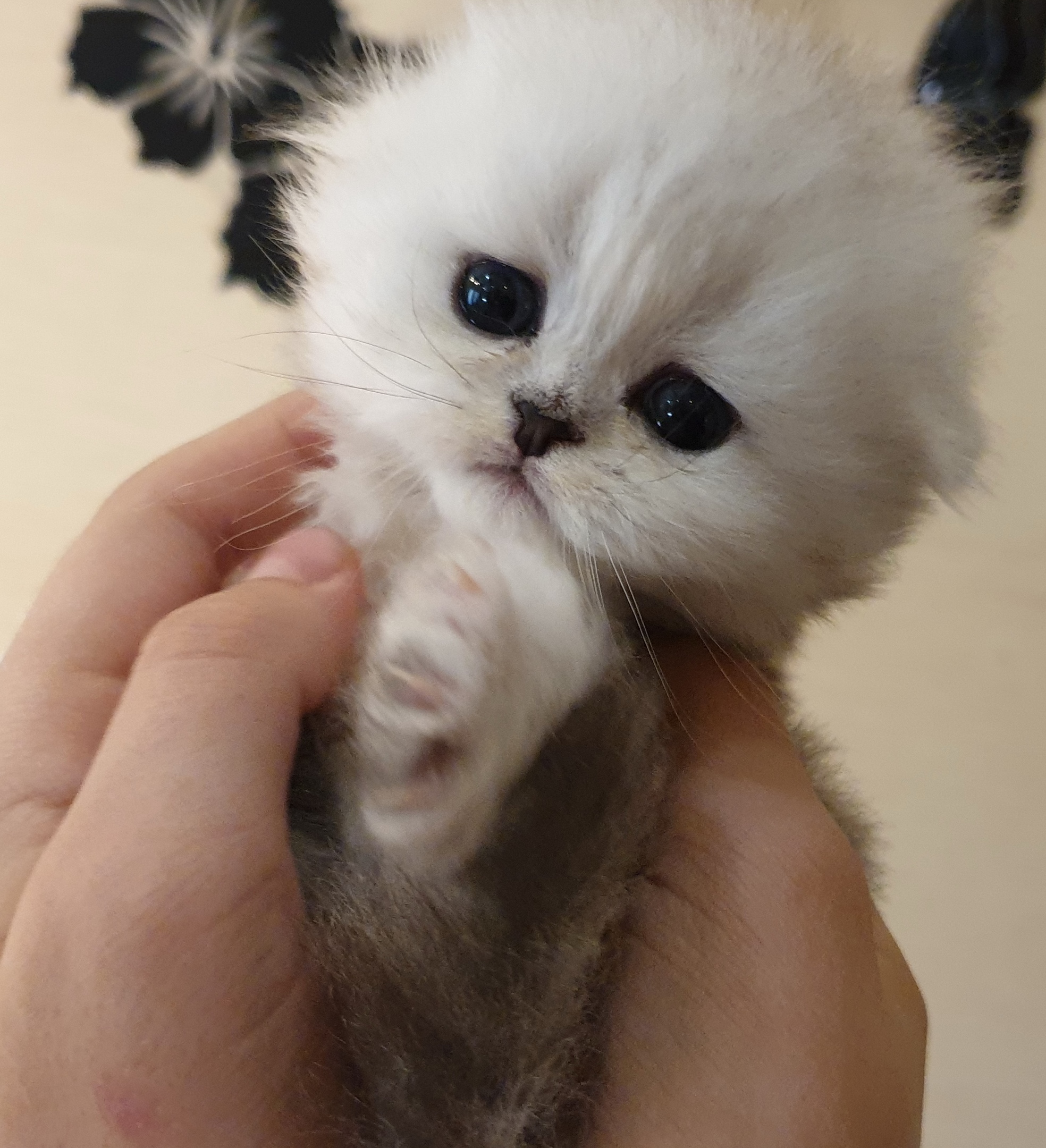 Грустная малышка