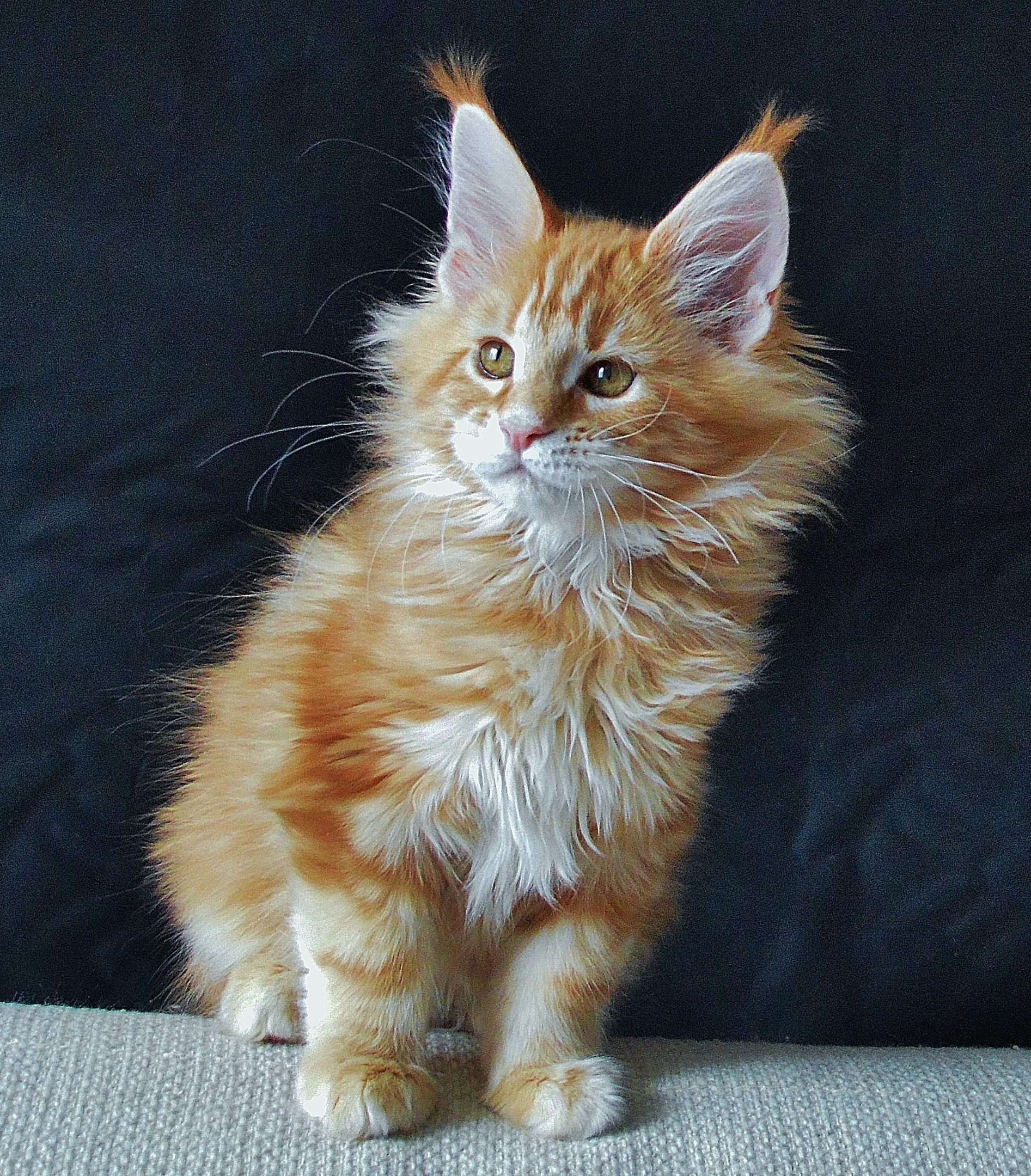 Я согласия на съёмку, не давал