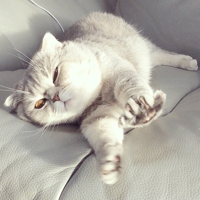 Отлично поспала