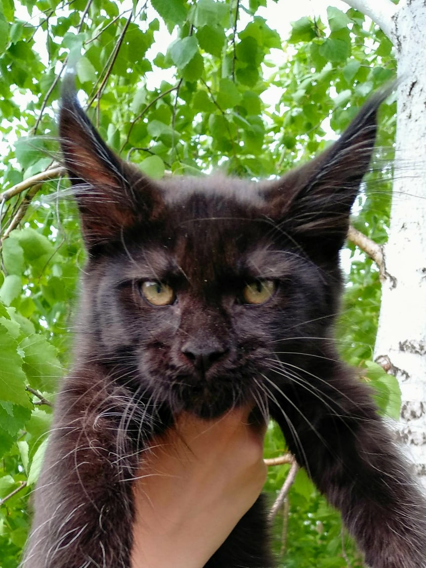 Хватит меня тискать, я побегать хочу