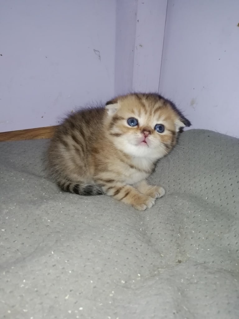 Зачем ребёнка пугаете