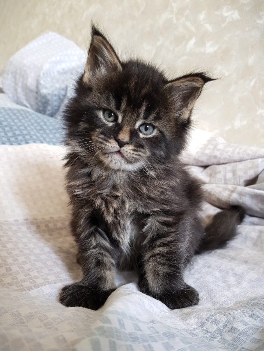 Я проснулся, можете начинать нянчить