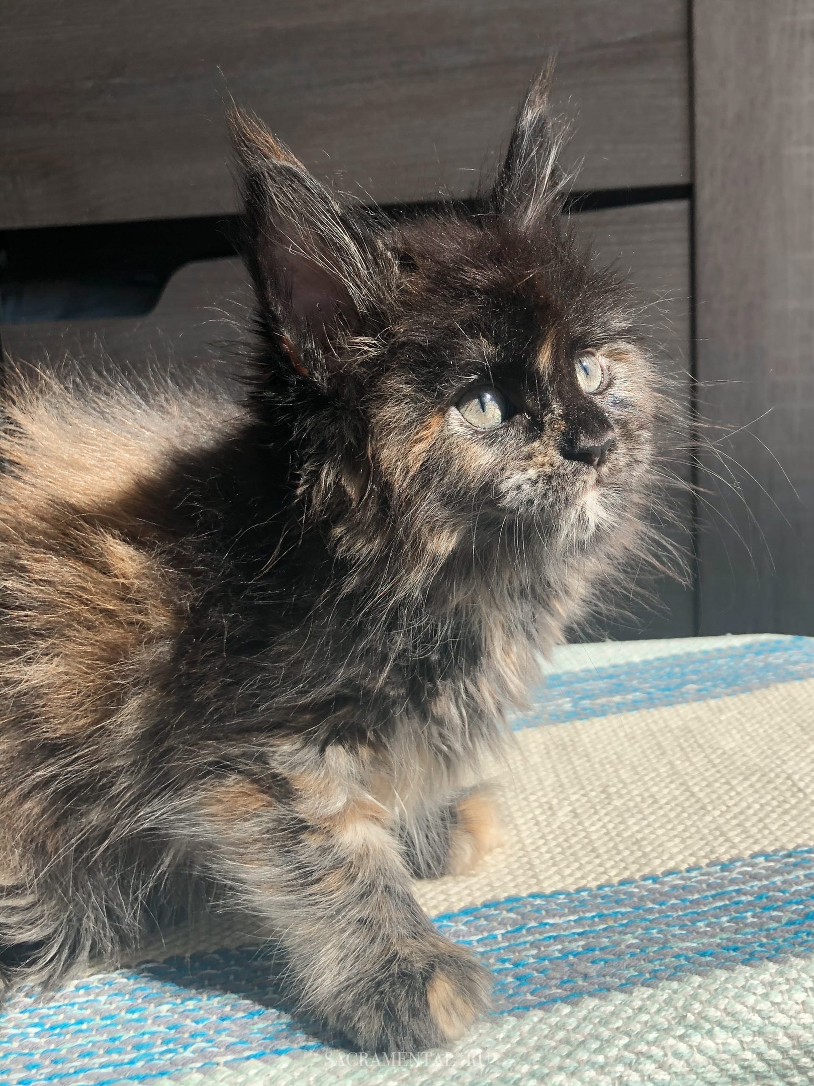 Солнышко, я по тебе скучала