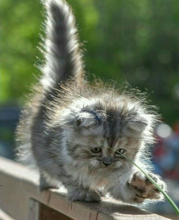 Дай я тебя пощупаю