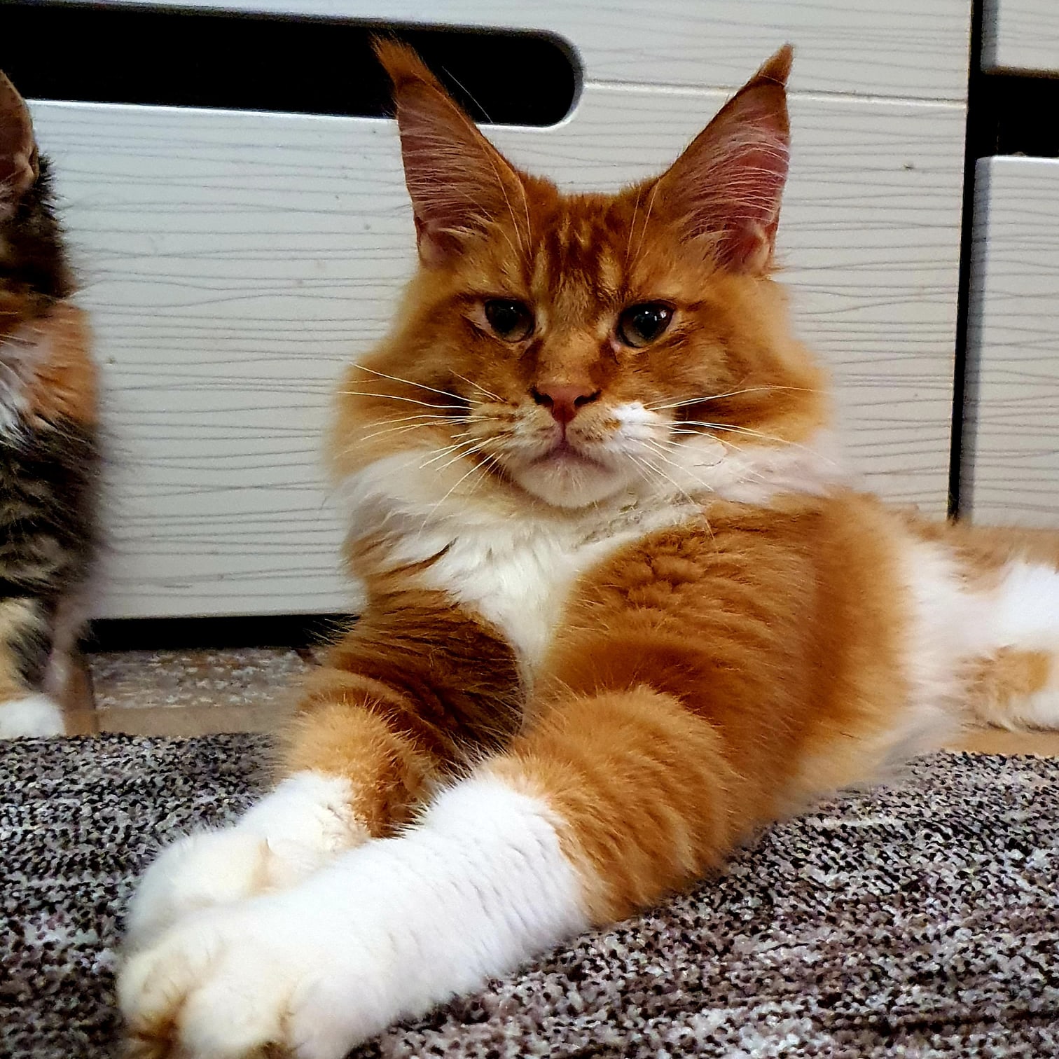 Мне трудно угодить, но Вы постарайтесь