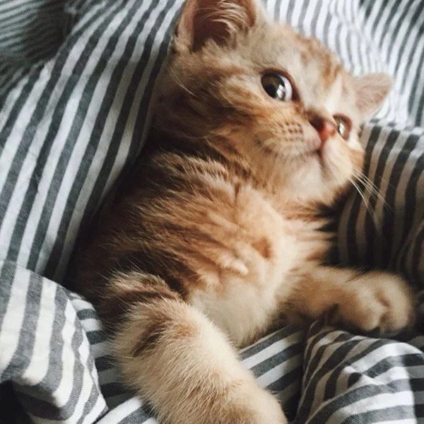 Не надо меня трогать, я Вам не доверяю