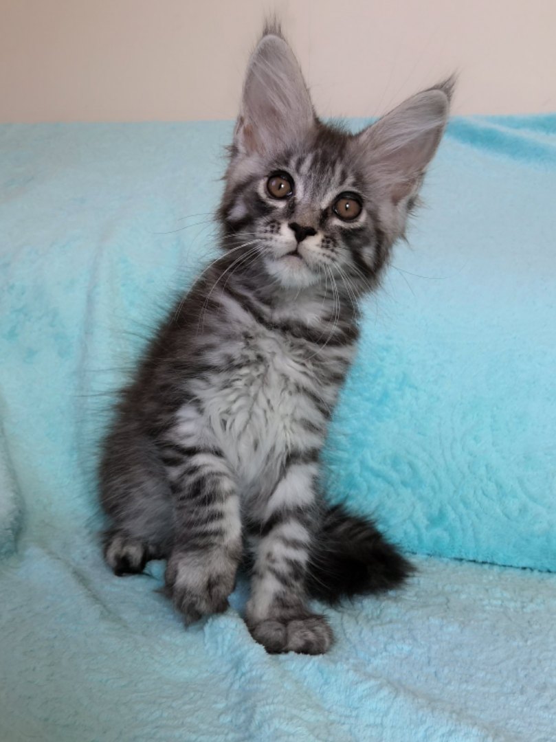 Я что - то опять не так сделал