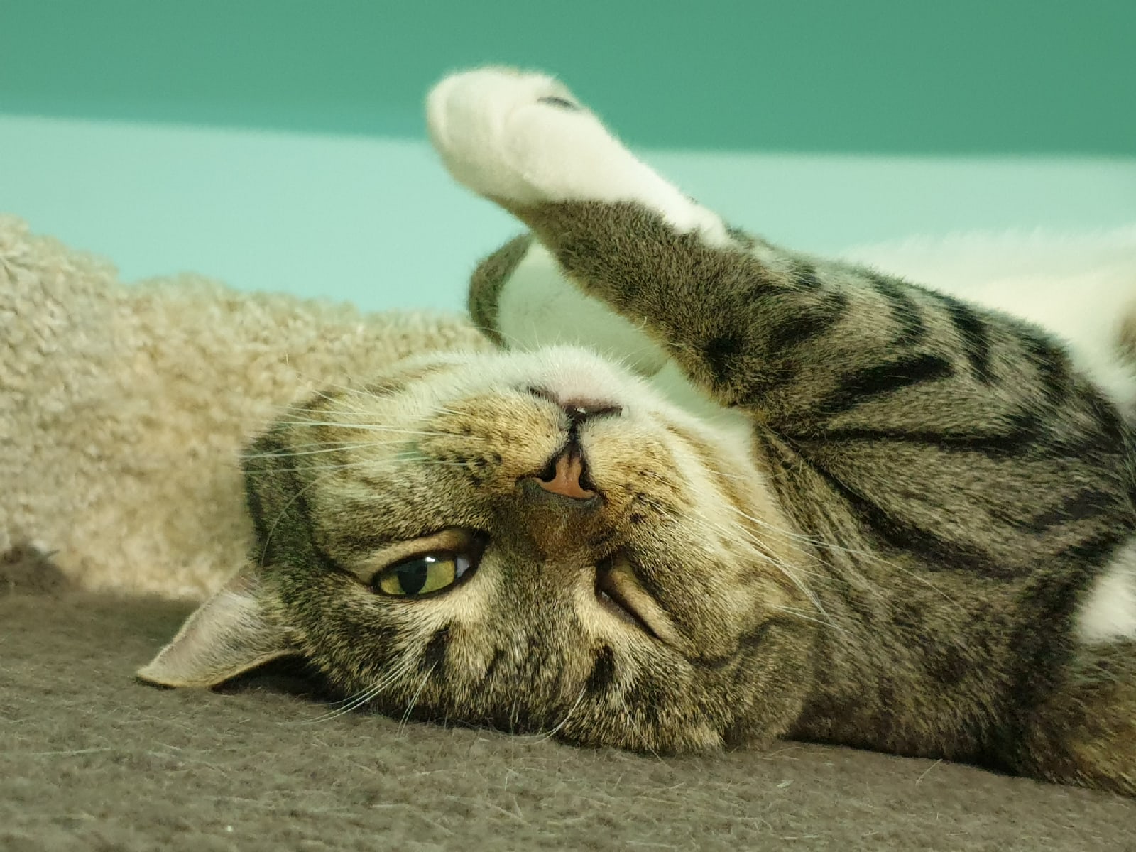 Кажется, кто-то хомячит без меня