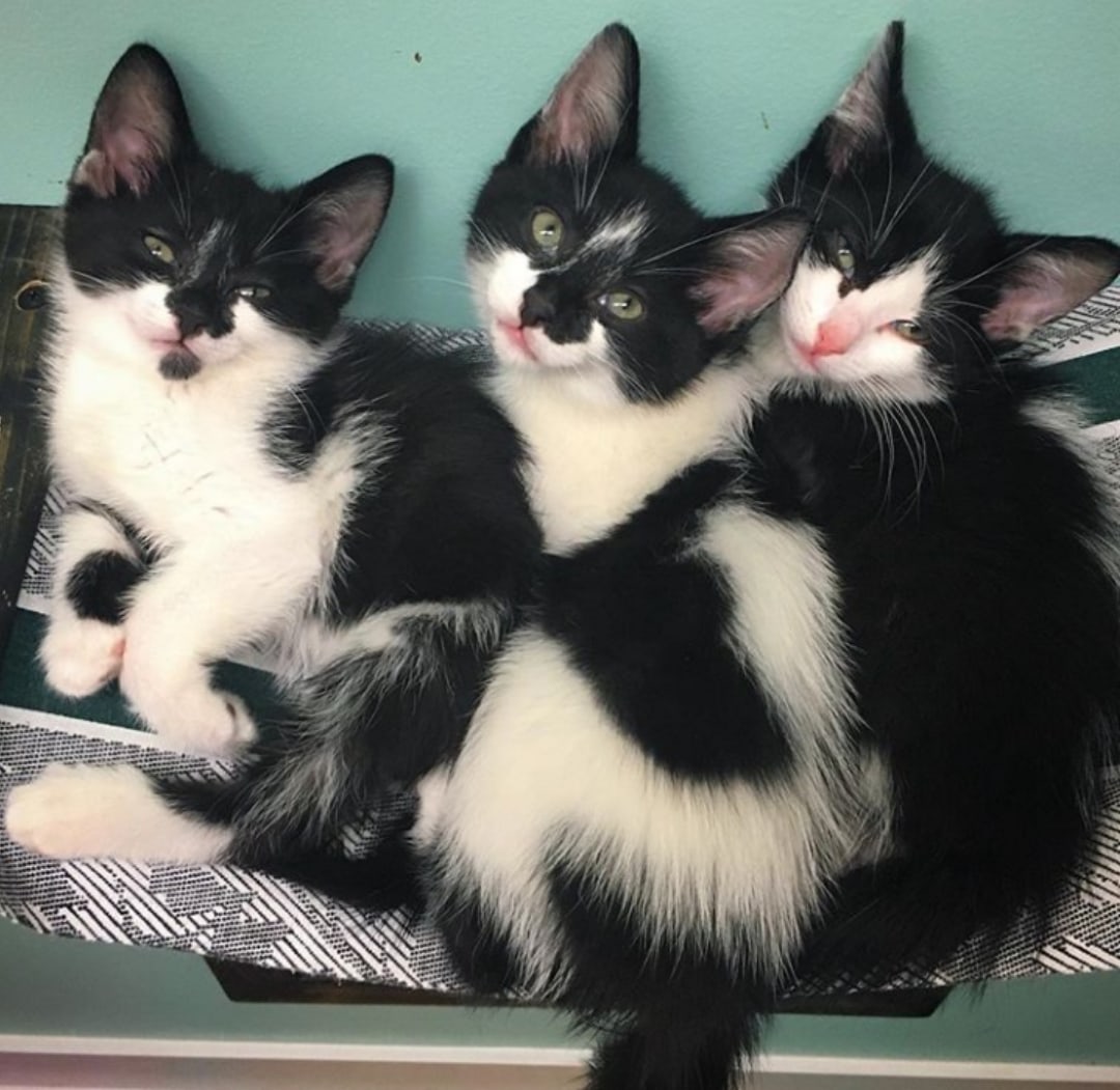 Вы нас разбудили, потому что устали от тишины