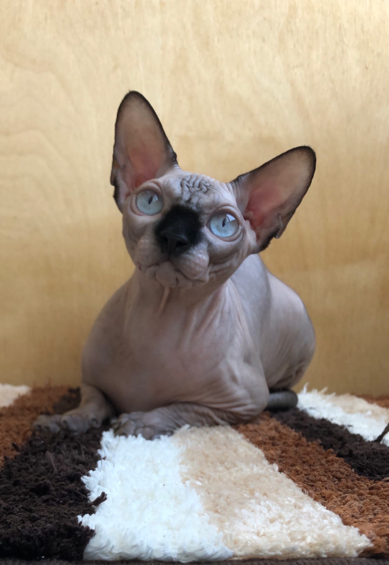 Вы завтрак приготовьте, а я пока полежу