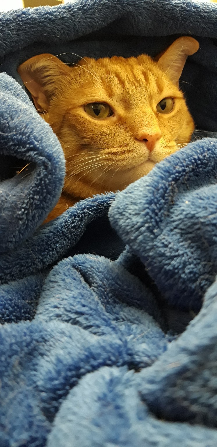 Хорошо там, где мы есть