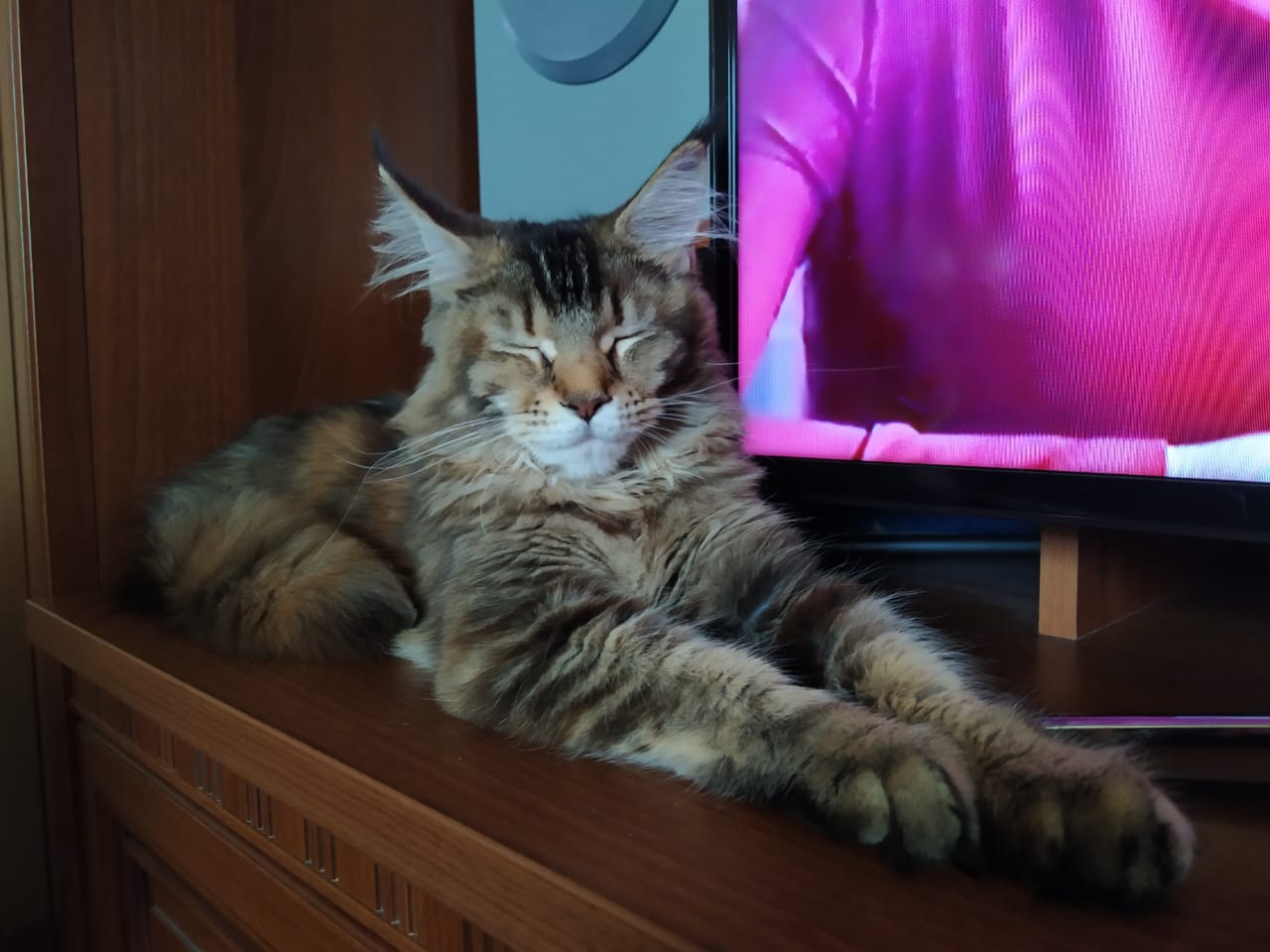 Телевизор меня усыпляет