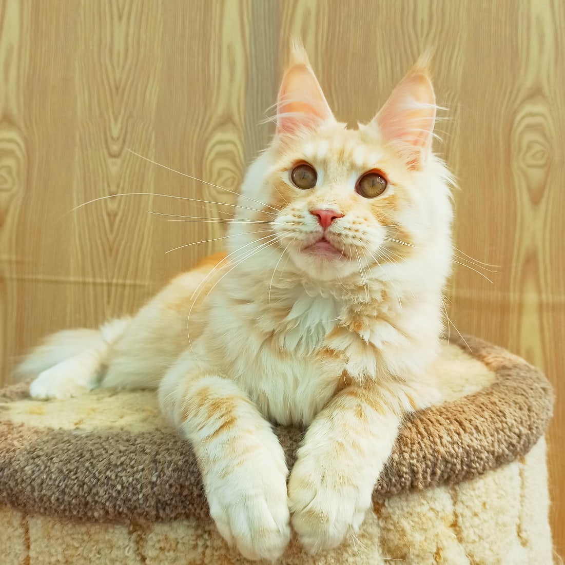 Идите на работу, я дом посторожу