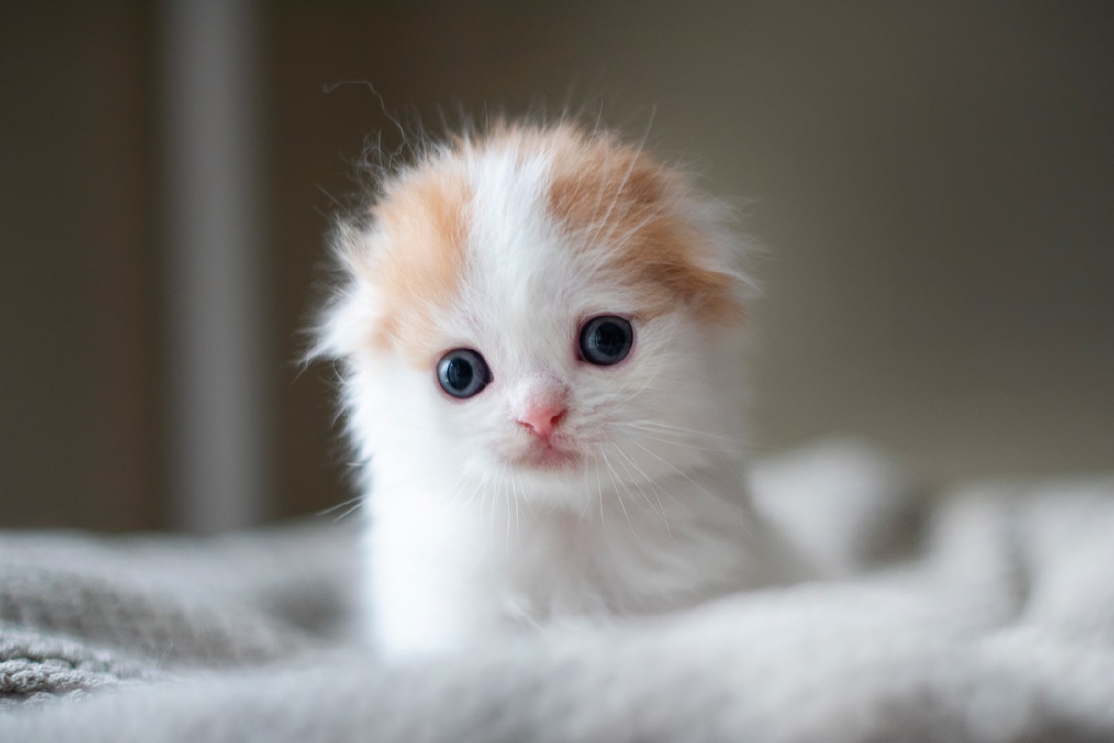 Куда это няньки мои запропастились