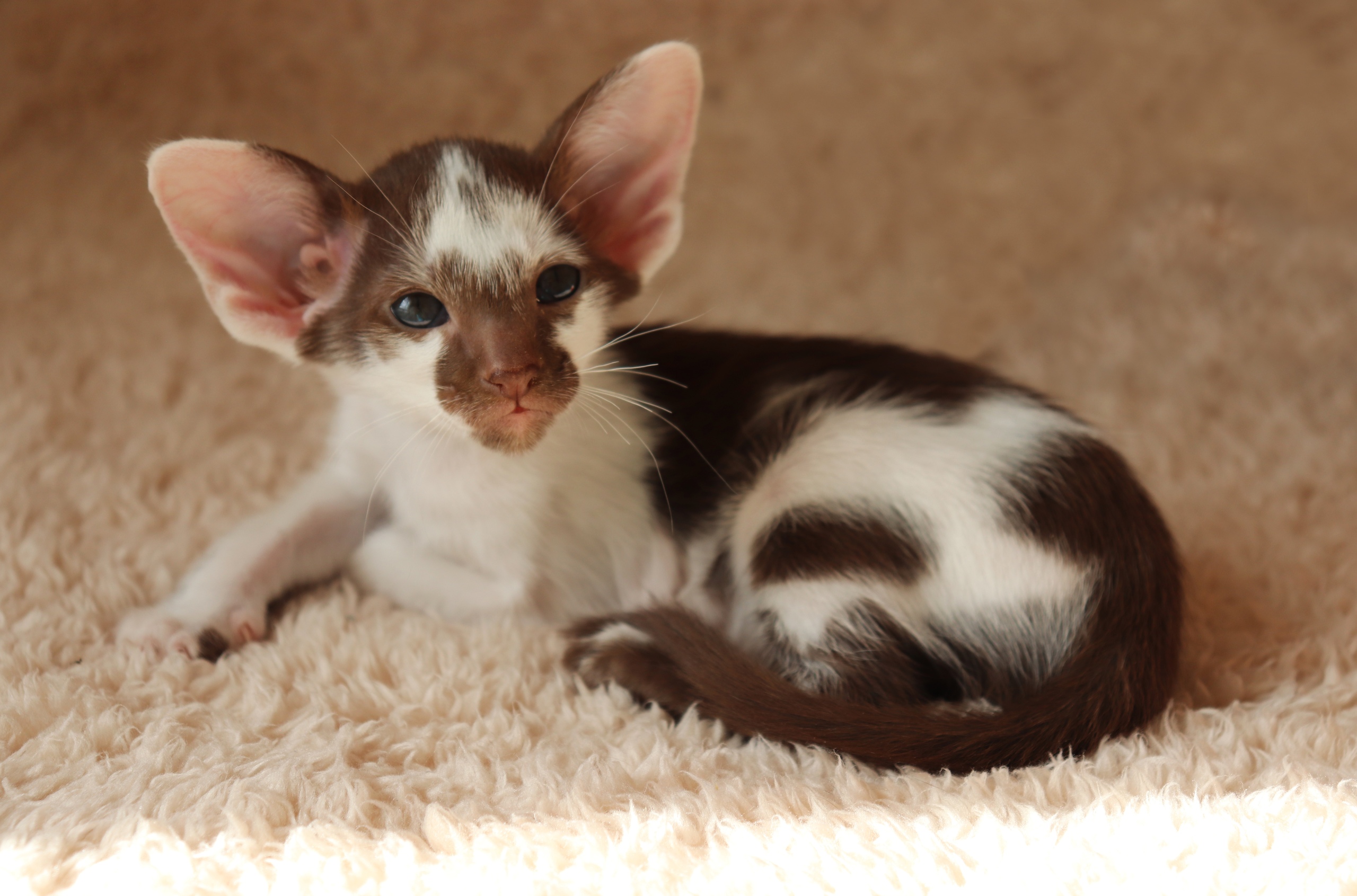 Я отдохнул, чем займёмся