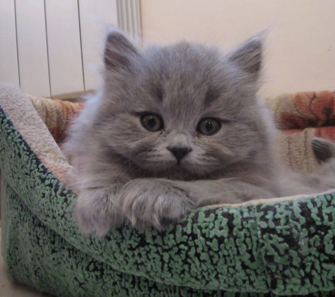 Малыш на своём любимом месте