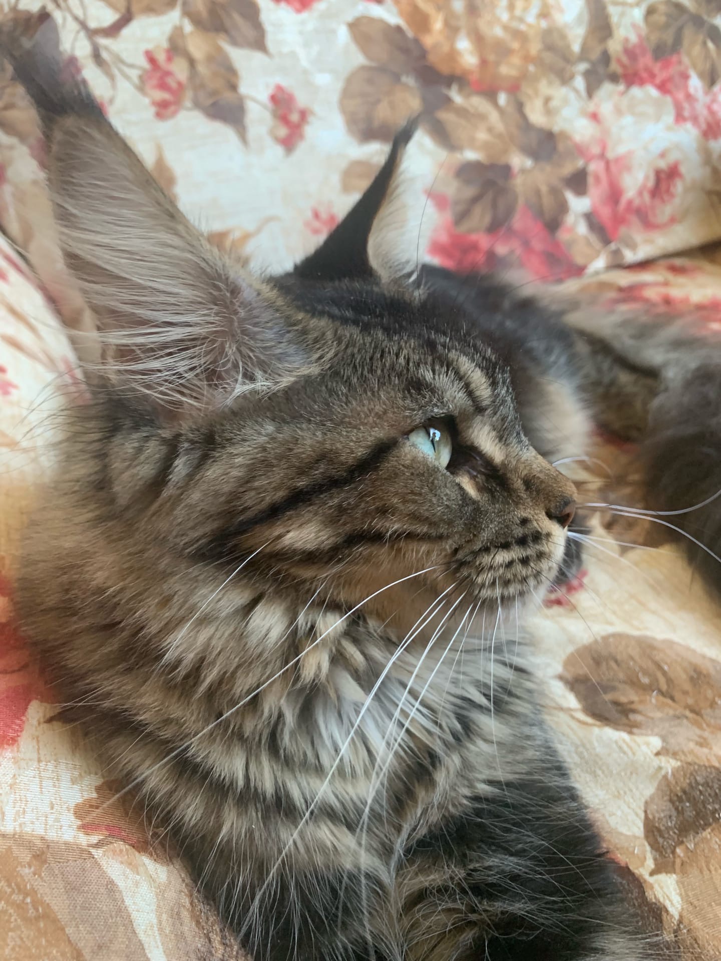 Я сегодня не в духе