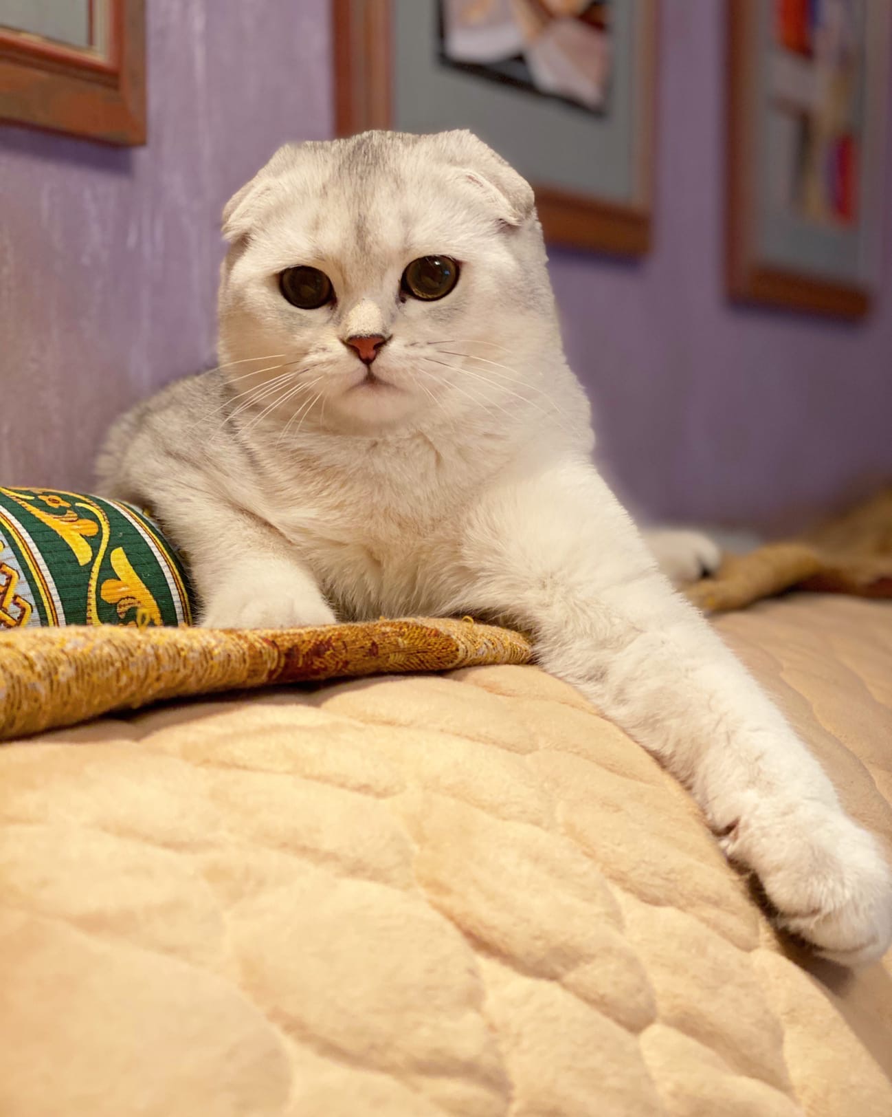 Настроение - лежать и ничего не делать