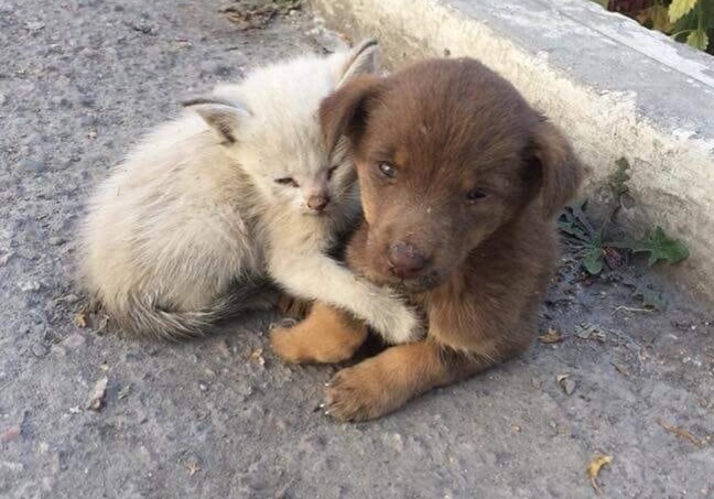 Греем мы друг дружку, чтоб теплее стало