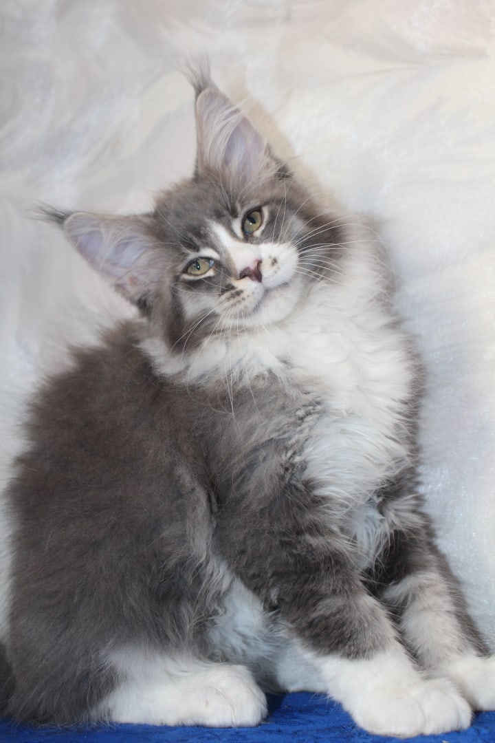 Может у Вас найдётся минуточка, чтобы со мной поиграть