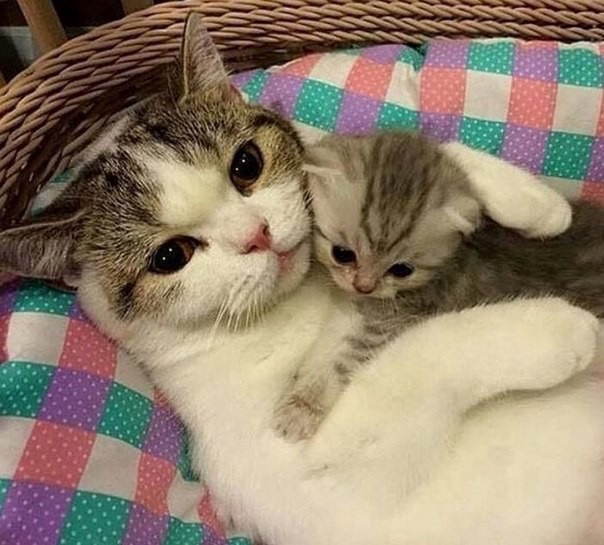 Я с моим роднулей