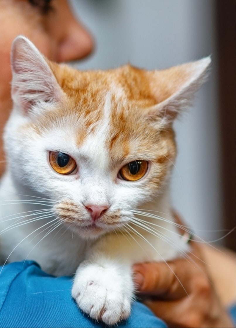 Кажется, за моей спиной что то замышляется