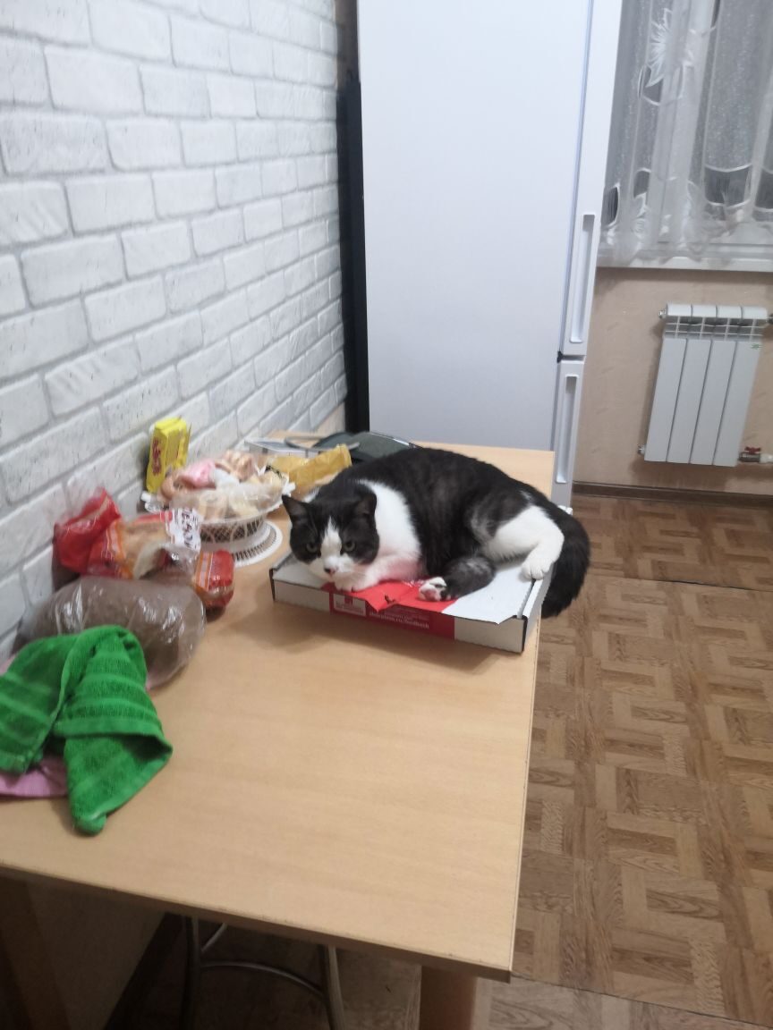 Я им пиццу грею, а они ругаются