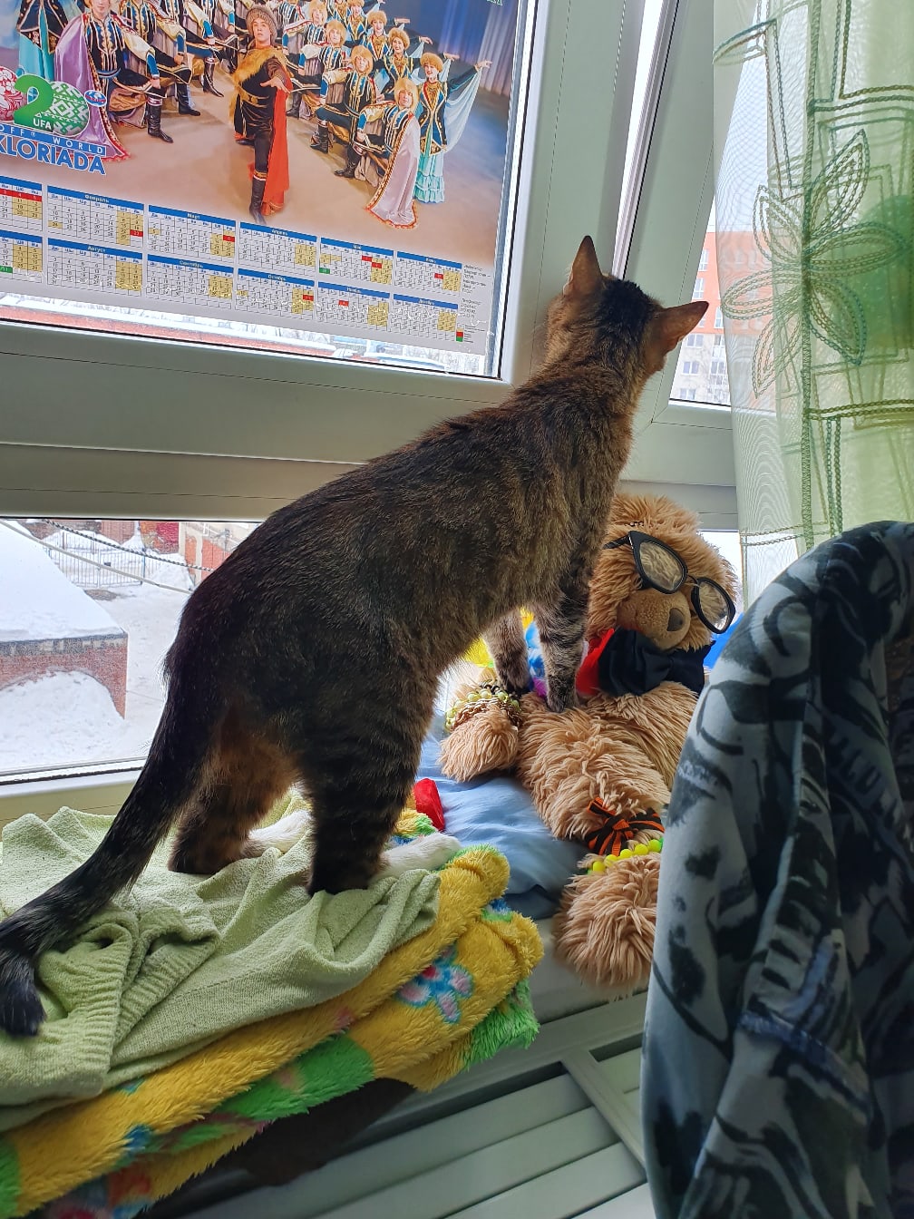 Надо подышать свежим воздухом