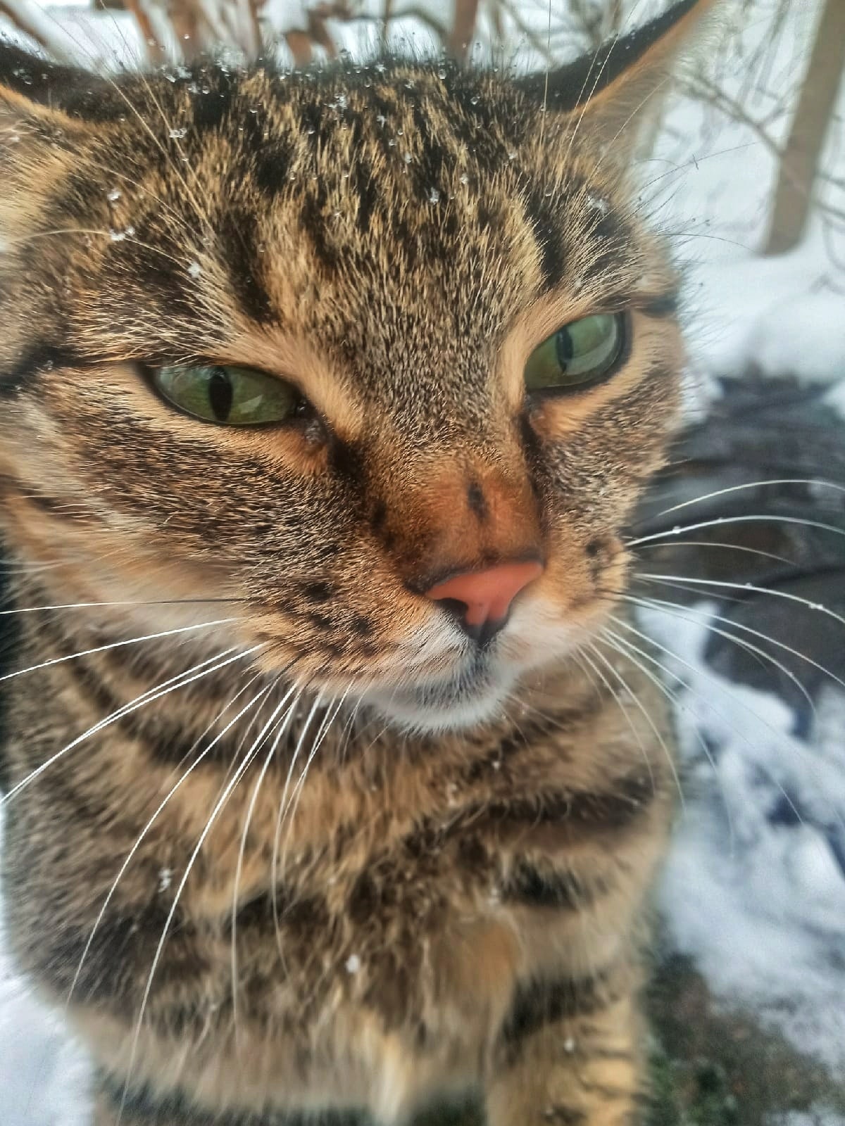 Весна пришла, а зима уходить не захотела