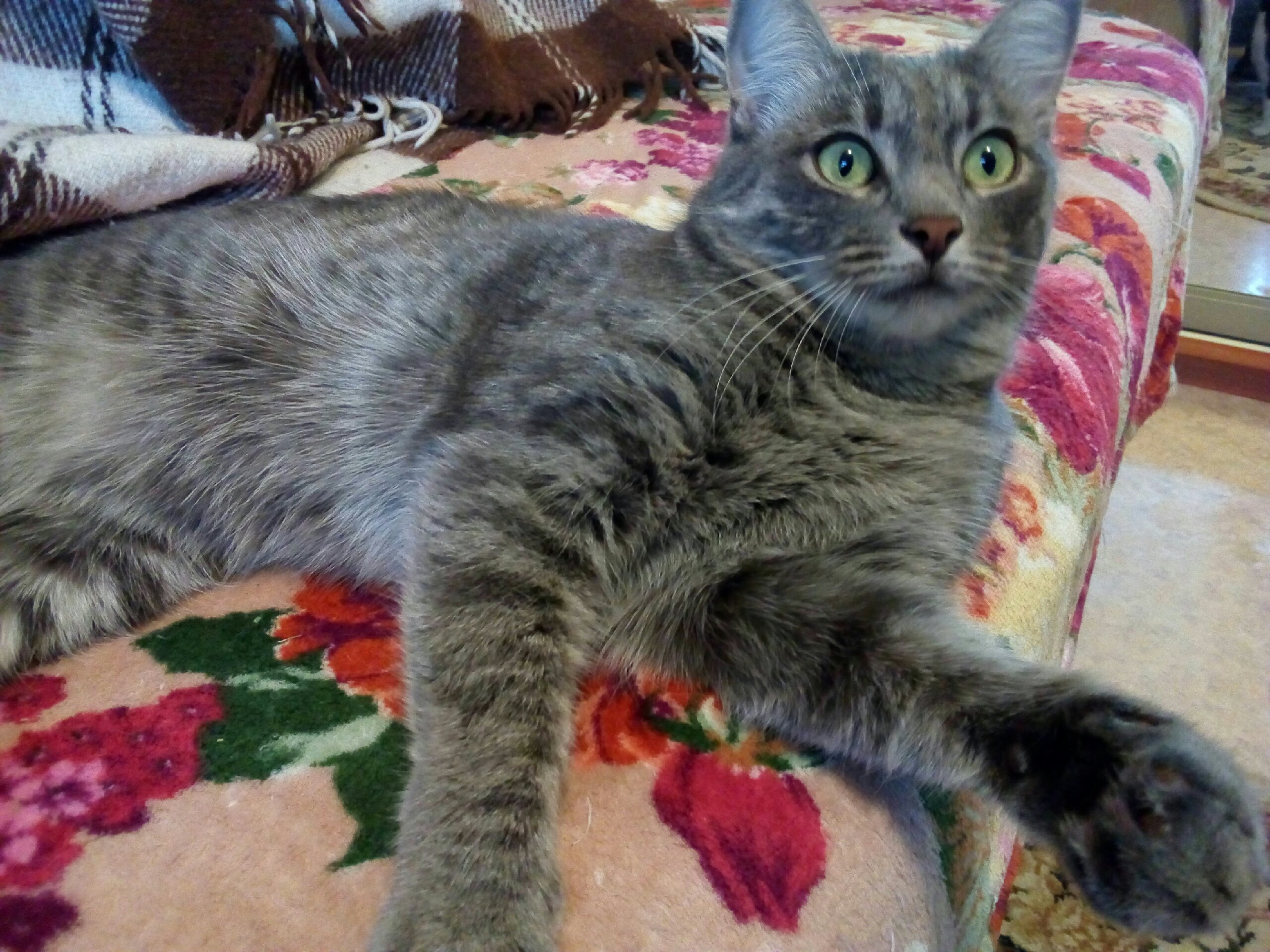 Бабуля, что ты так рано встала, успеем мы всё переделать