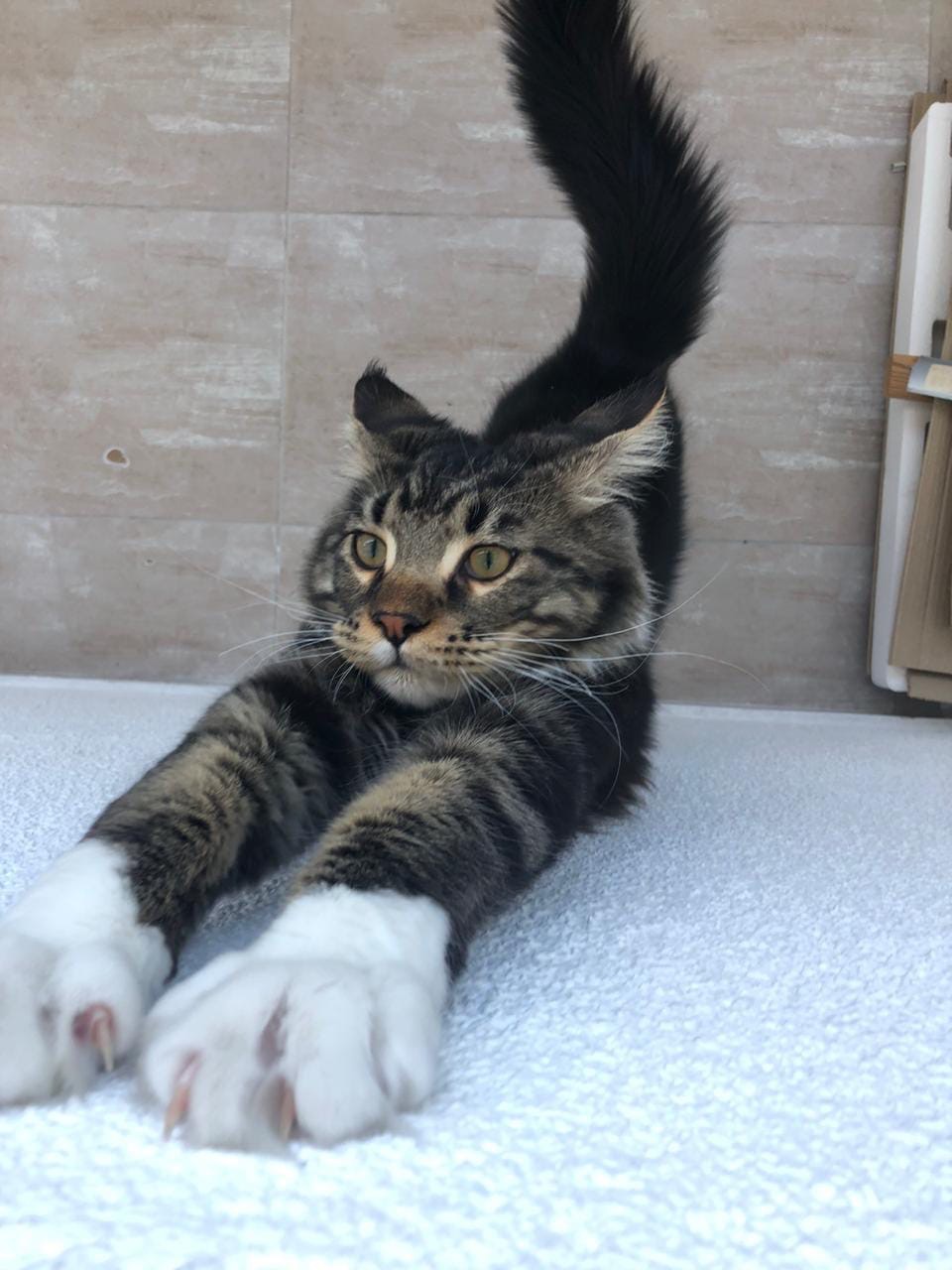 Чтобы быстро бегать, нужна хорошая разминка