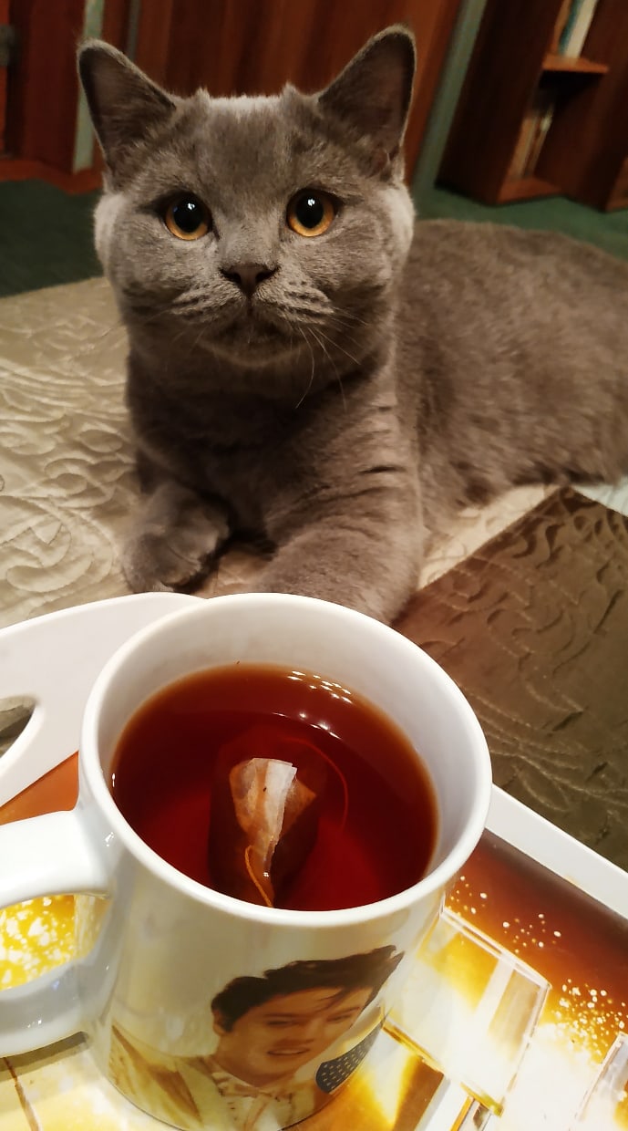 Я бы тоже чайку попила, да боюсь обжечься