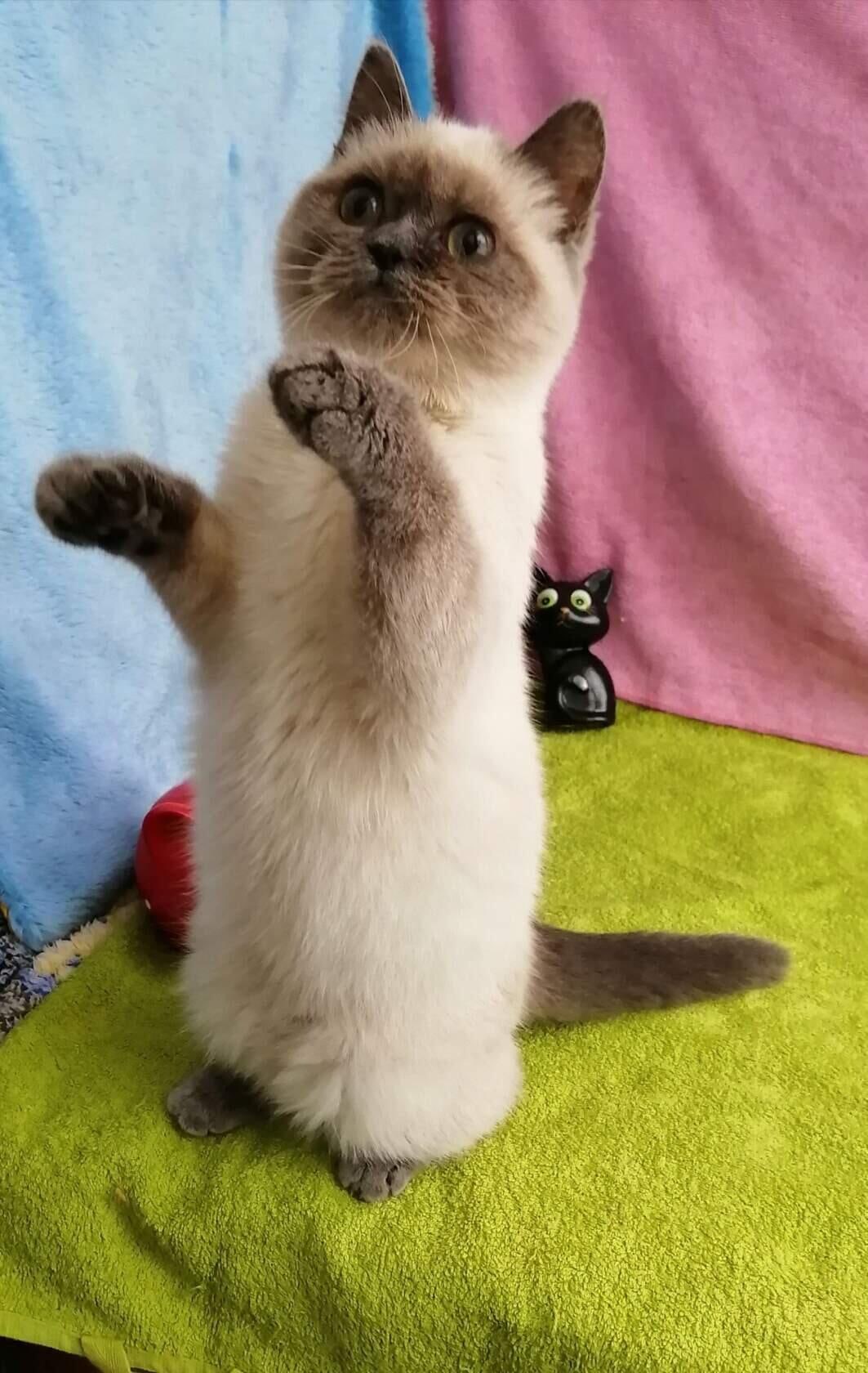 Чего - то хочется, но я незнаю что