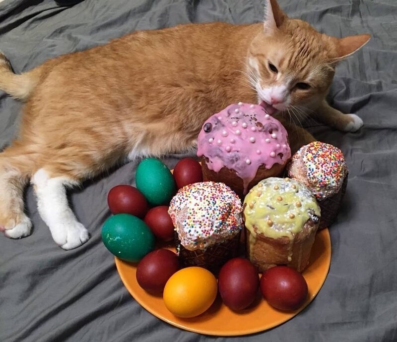 Распробовал кулич