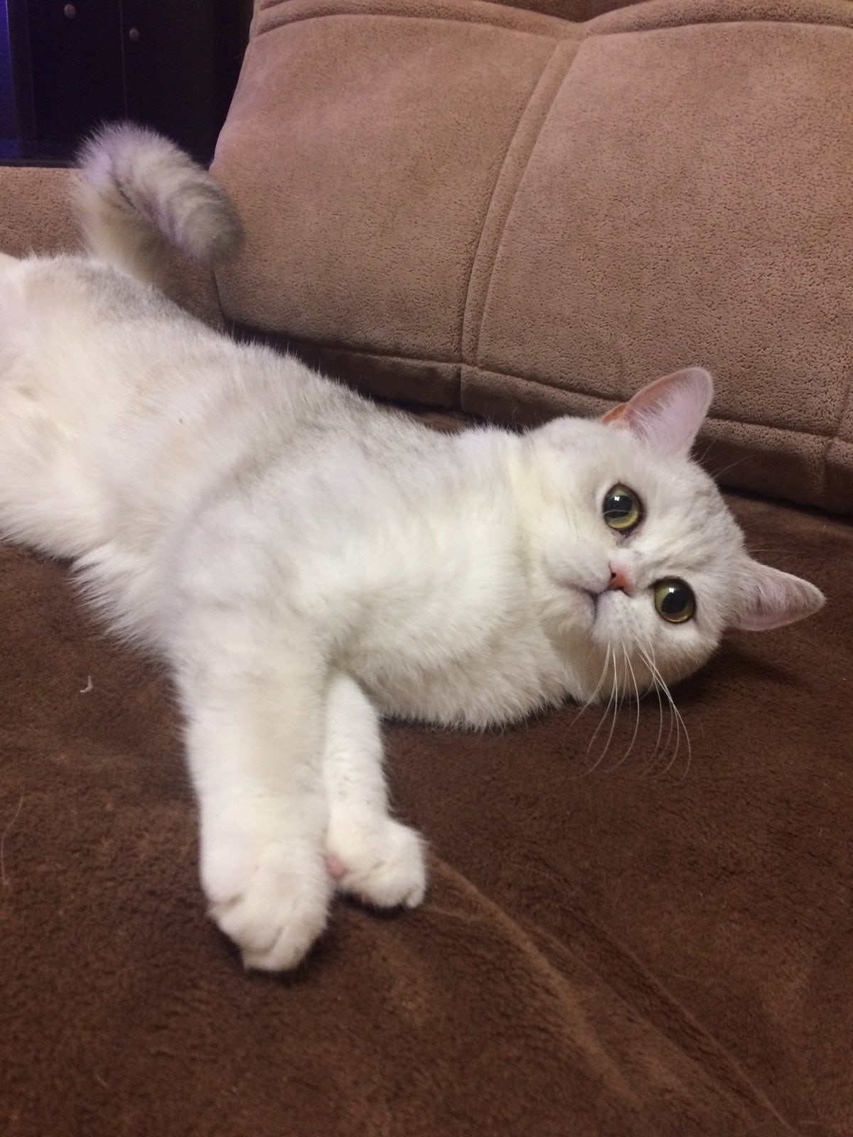 Я отдыхаю, не беспокойте меня