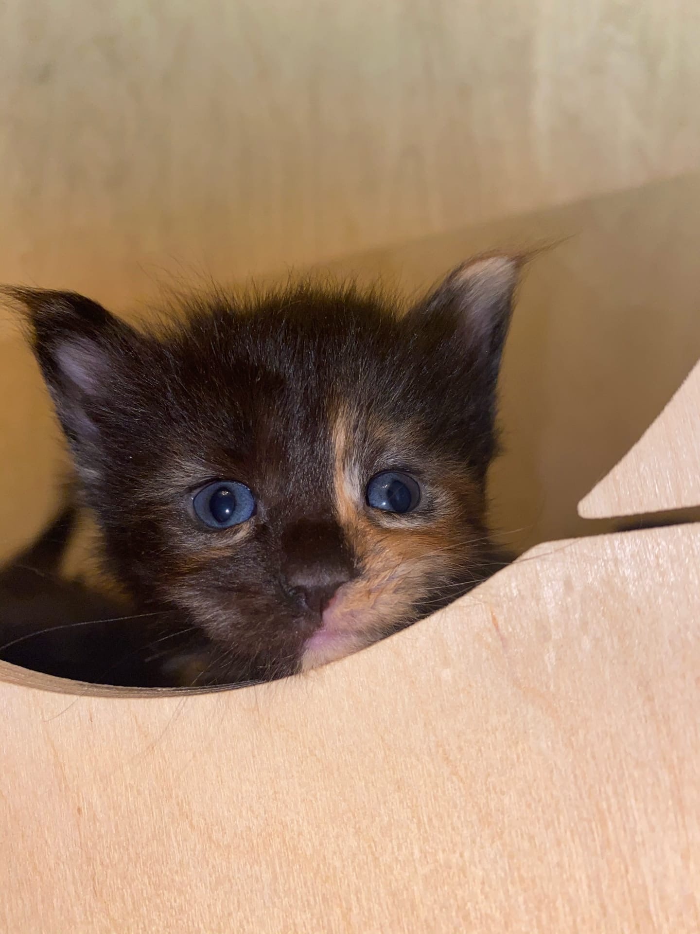 Вы меня ищите или нет