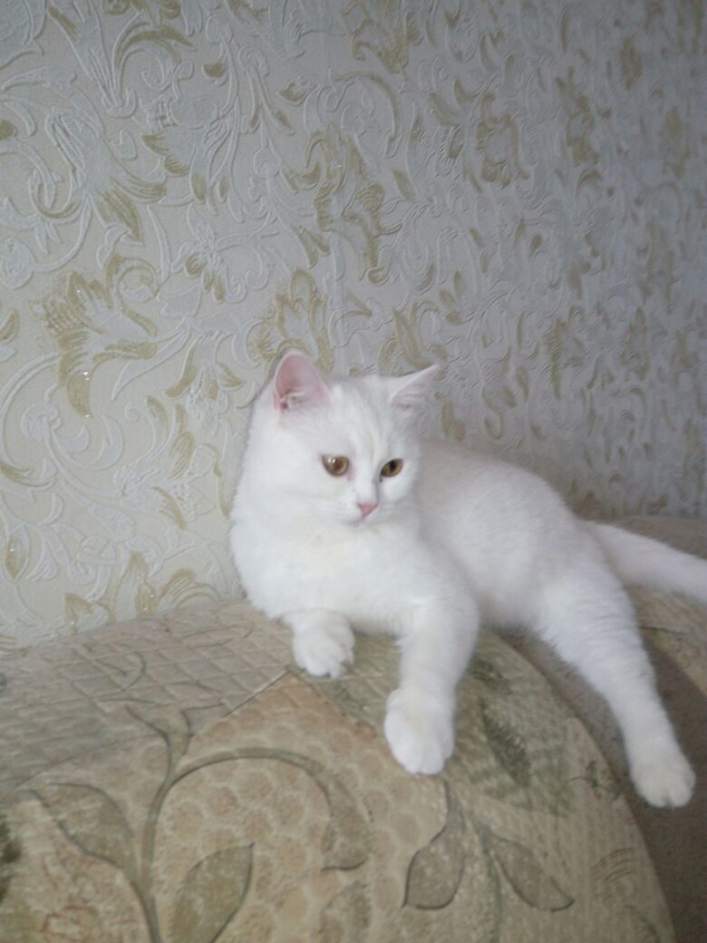 Чтобы хорошо выглядеть, надо обязательно отдыхать