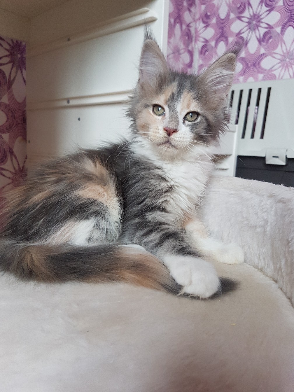 Поищите себе другое местечко, здесь занято