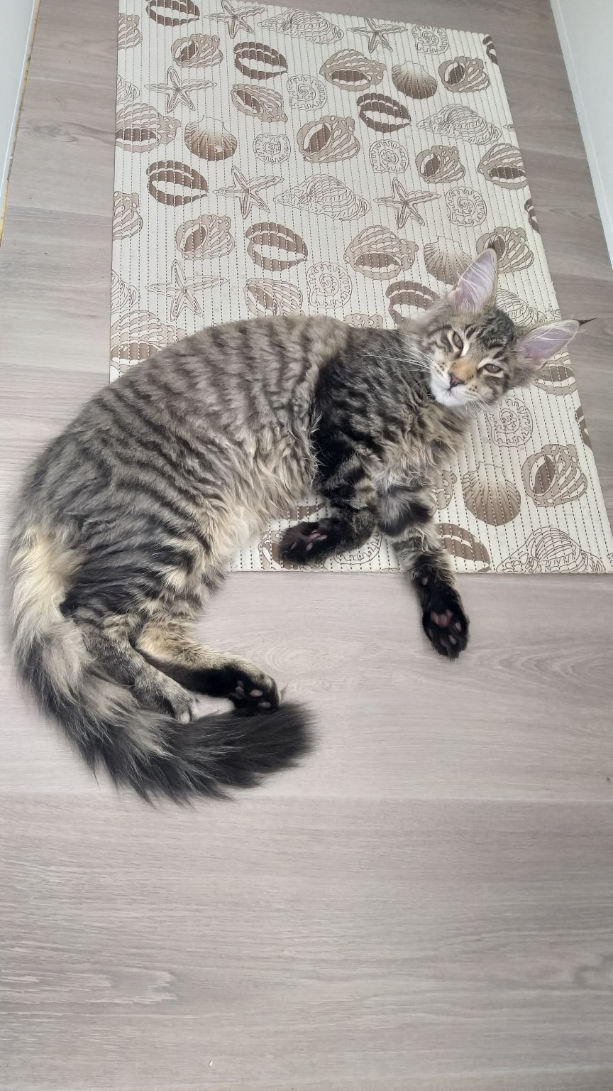 Намекаю хозяевам, что пора бы на море съездить