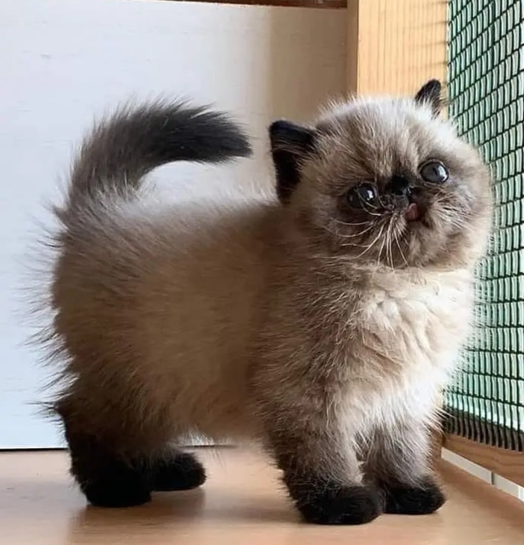 Разве можно, такую красоту взаперти держать