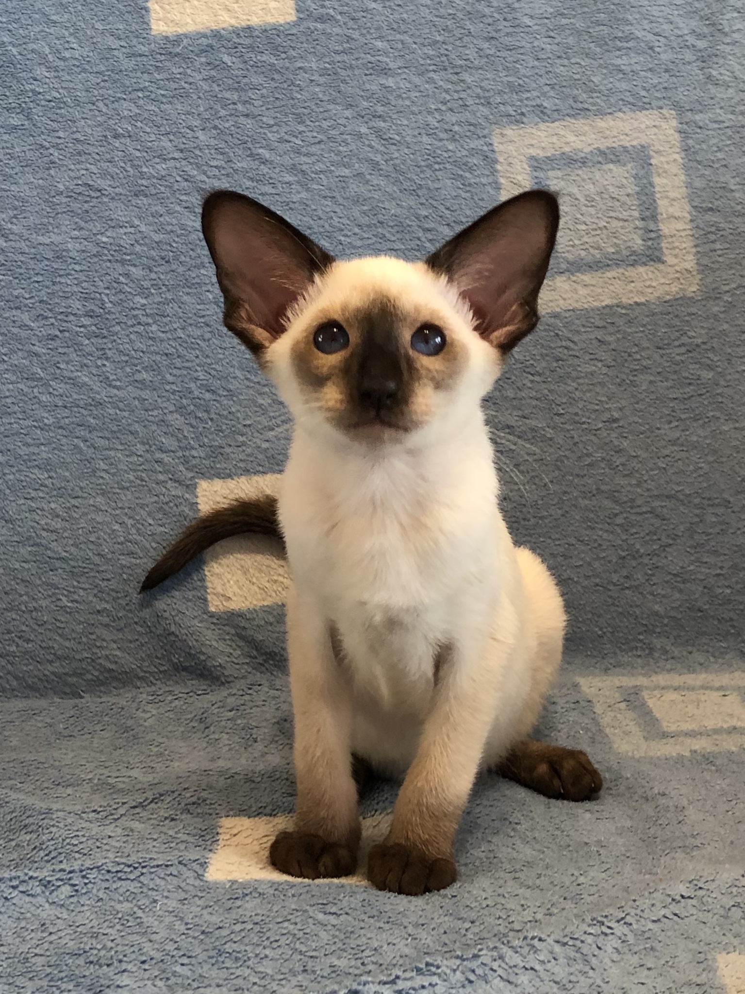 Вот был бы у меня друг, я бы не скучал