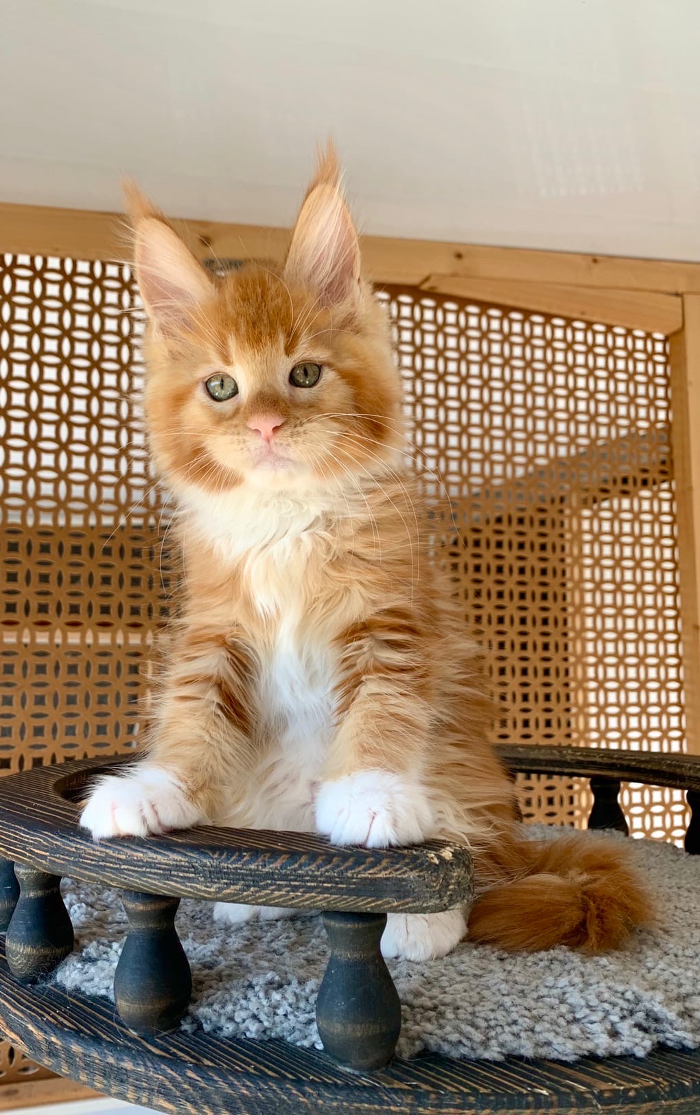 Долго спите дорогие, я успел соскучиться