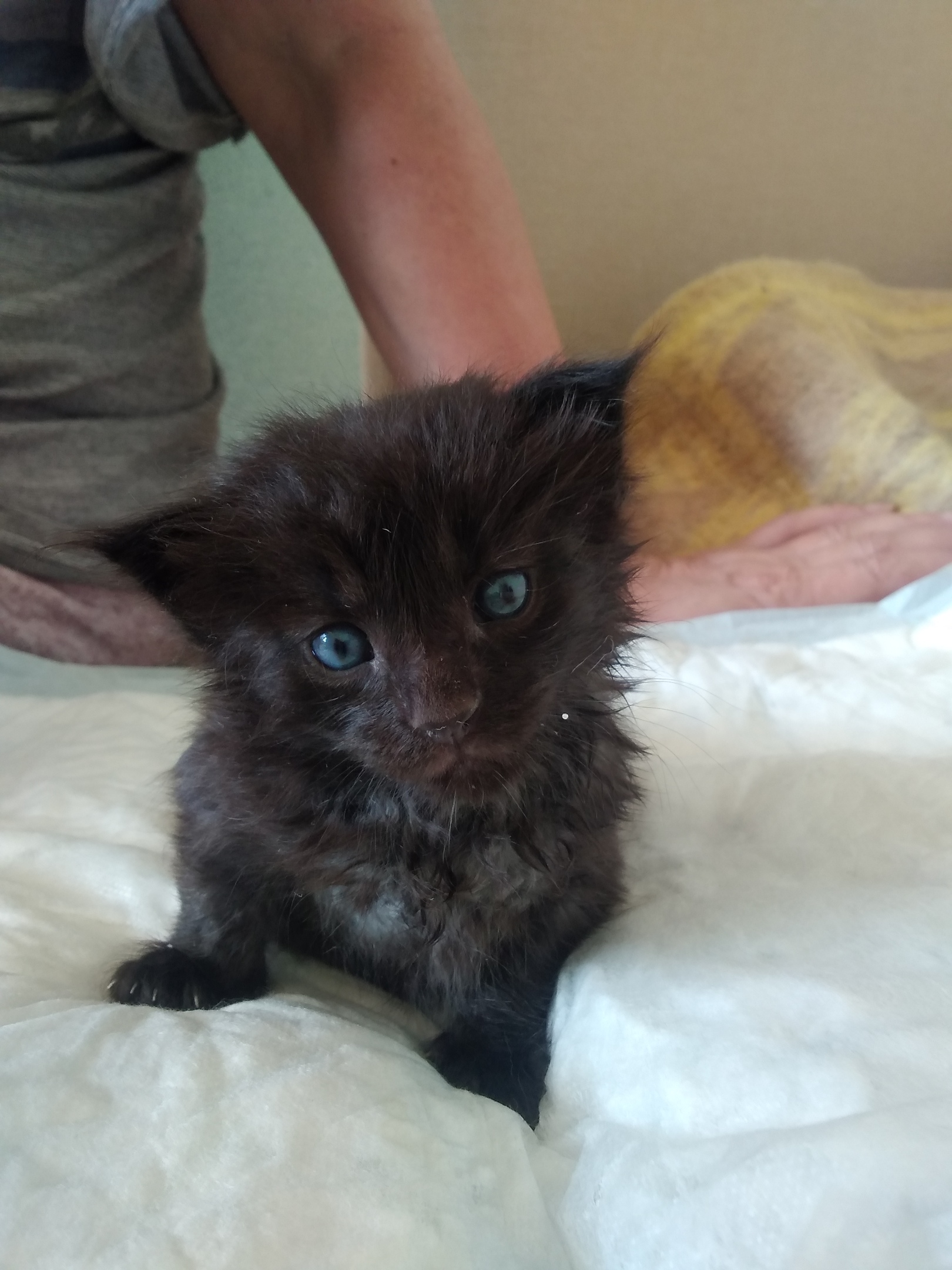 Извините за внешний вид, я только что проснулся