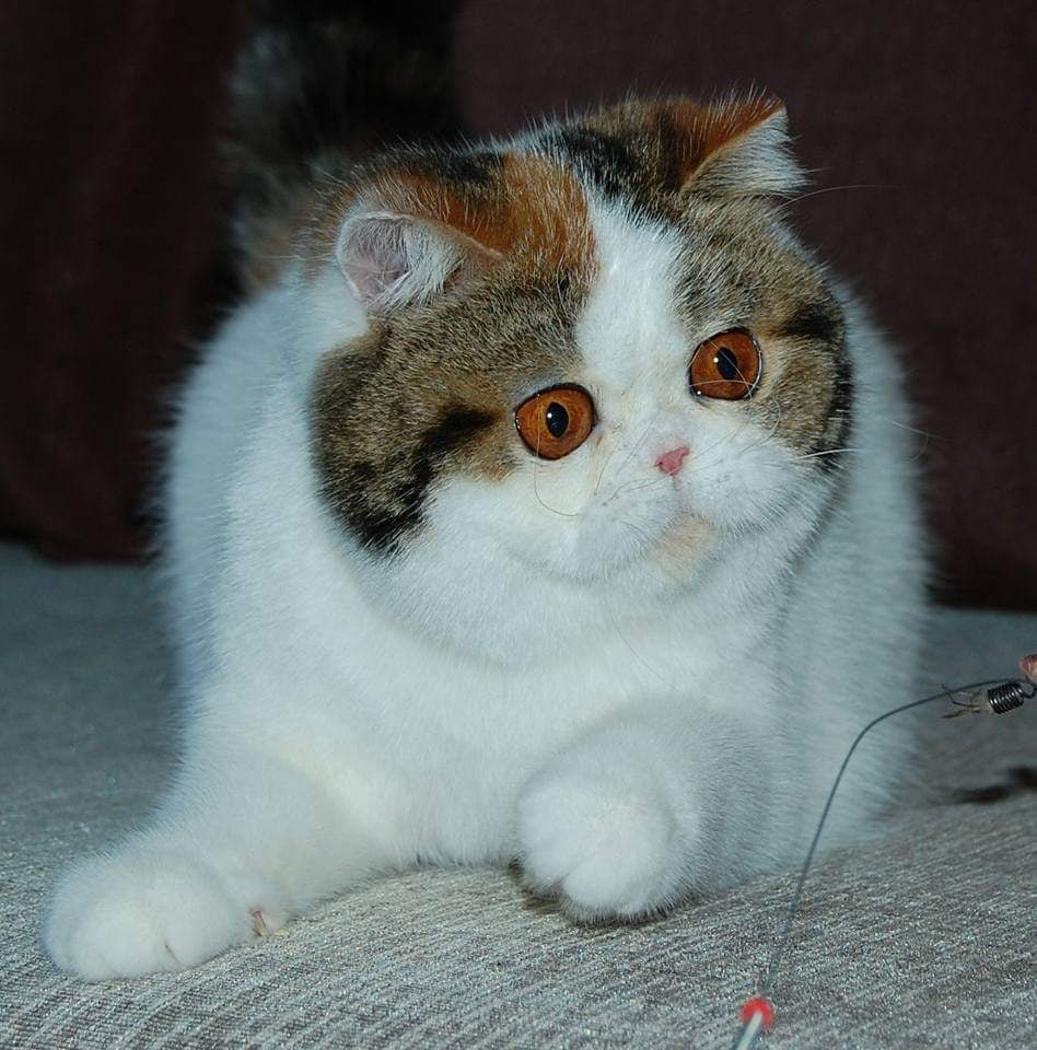 Вы меня хотите поймать на эту штучку, так я согласна