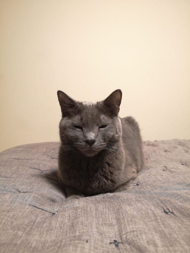 Чем бы мне развлечься