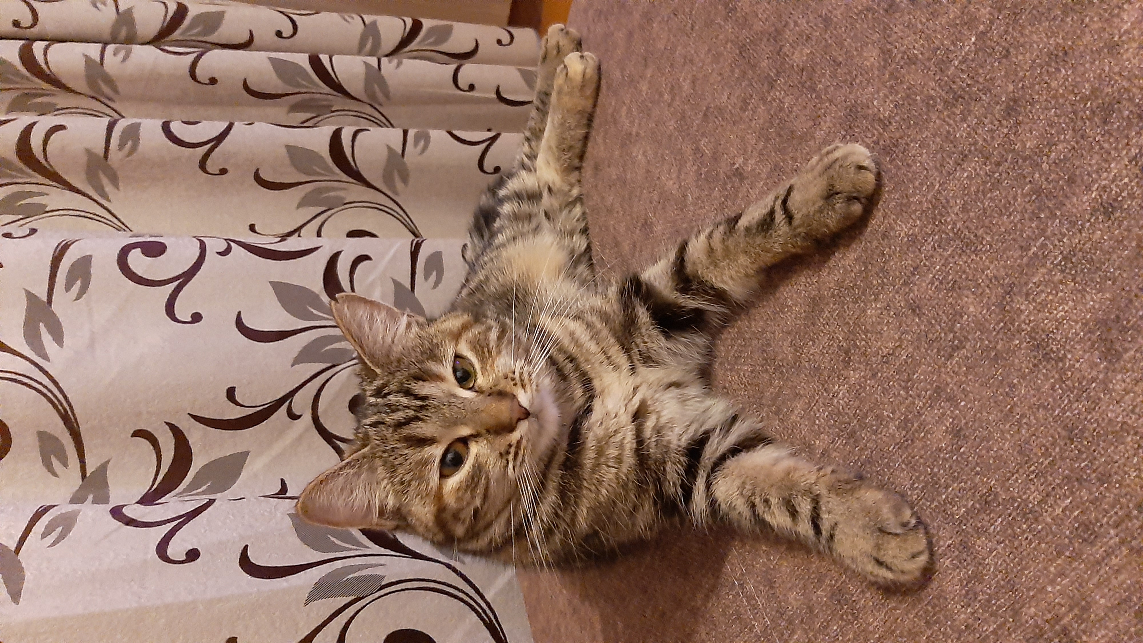 Вы что-то хотели