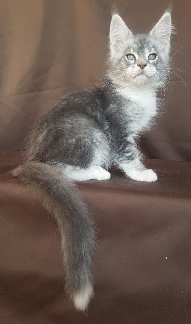 Люблю фоткаться