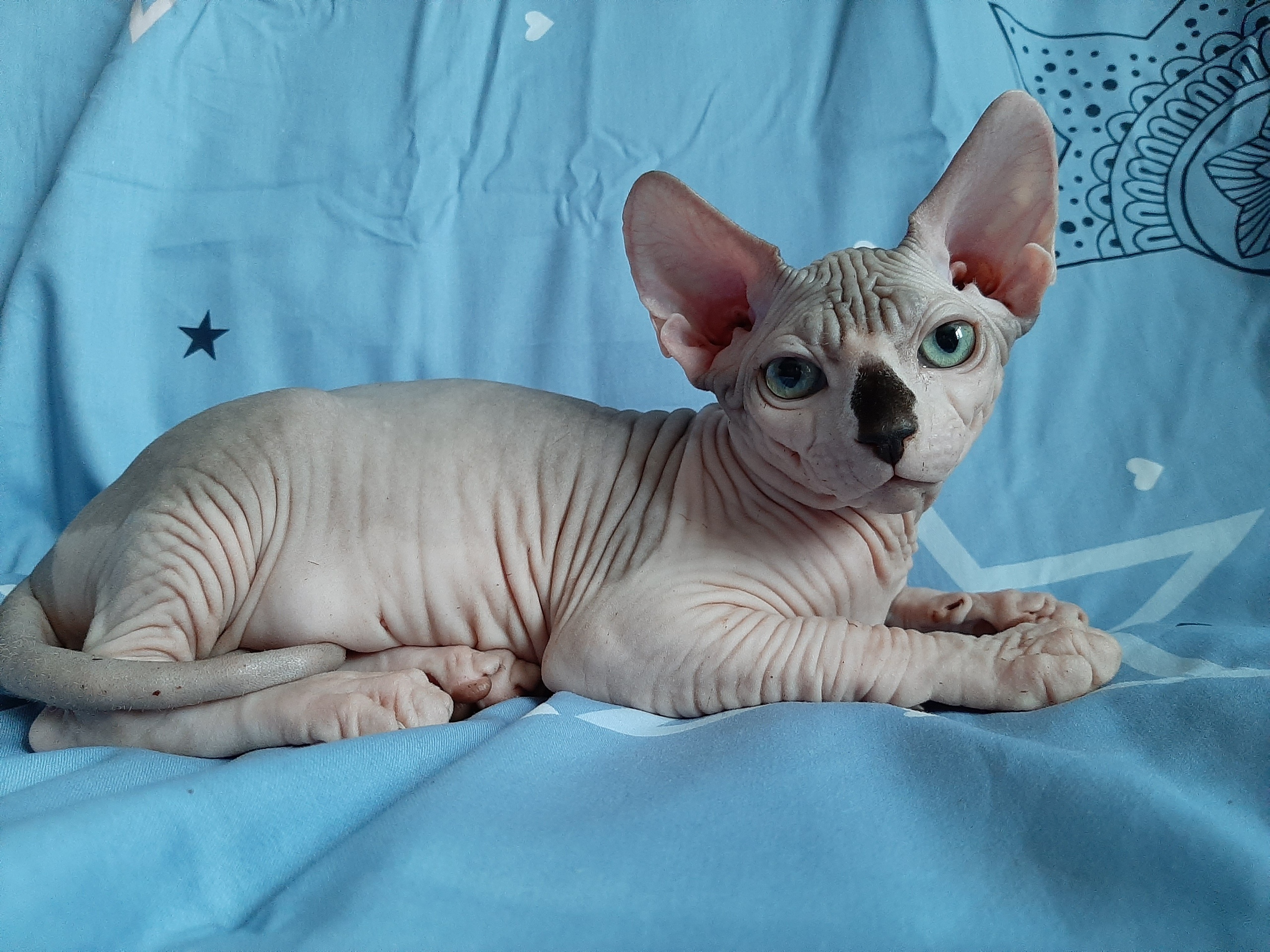 Я хочу лежать и ничего не делать