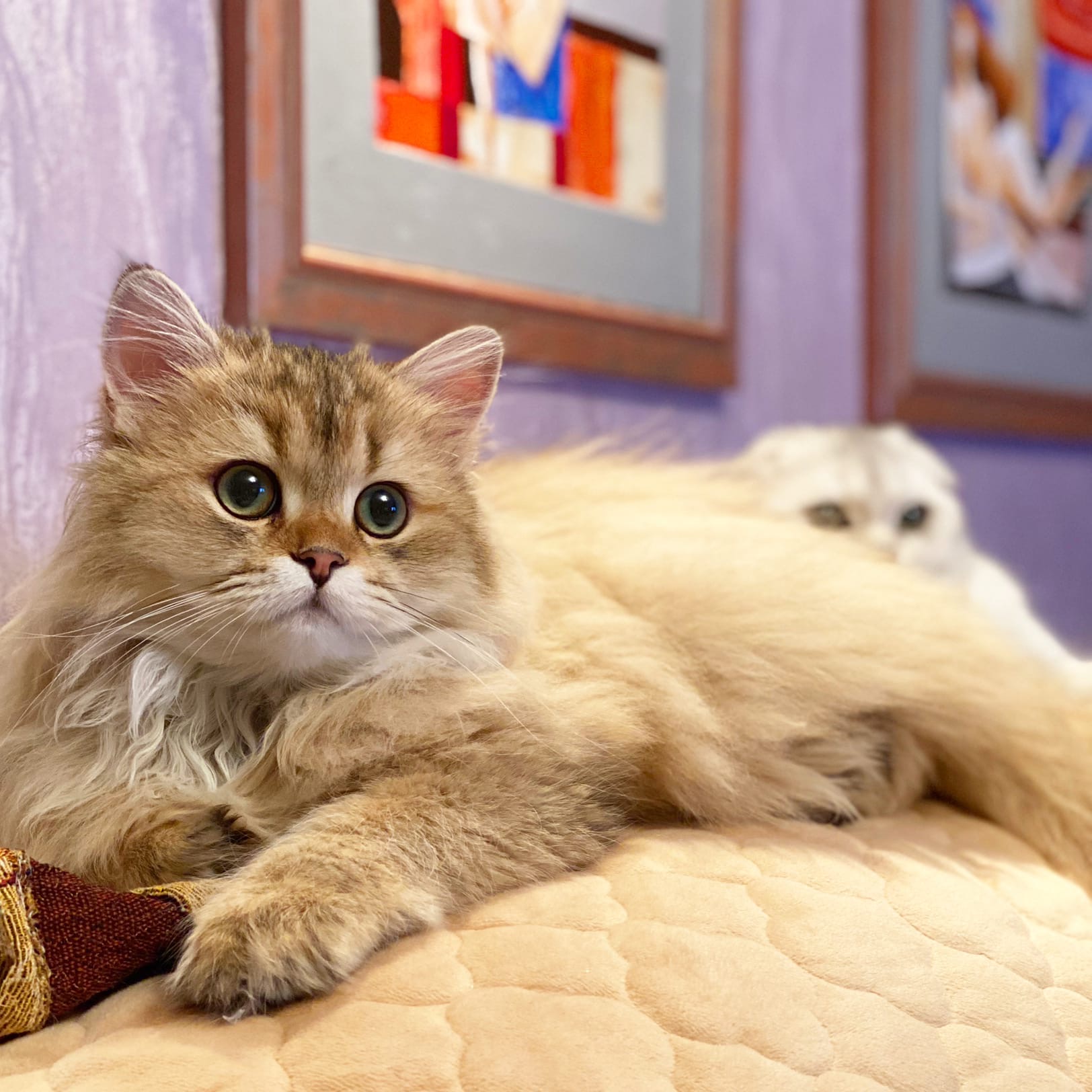 Мы тихонечко лежим, ничего не делаем